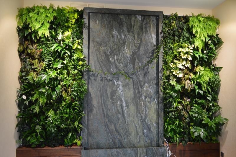Фитостены в частном доме в поселке Аврора