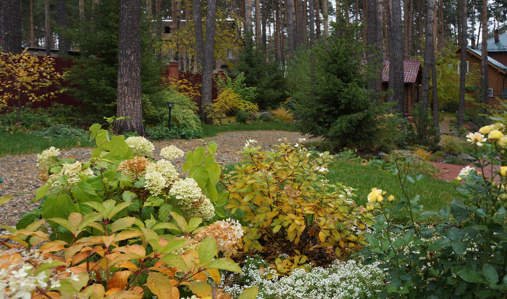 Лесной пейзаж