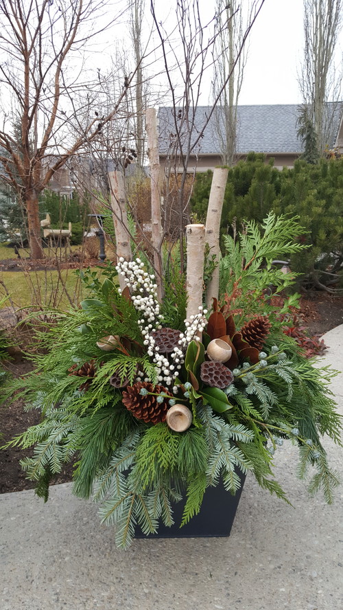 Outdoor Fresh Evergreen Arrangements
