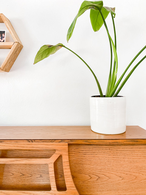 Natural Gosselin Living | Littleton, CO | Organic Whole Home Renovation