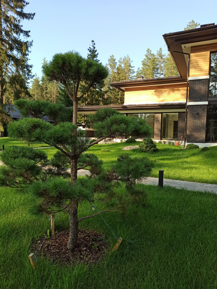 Ландшафт для дома в стиле Райта