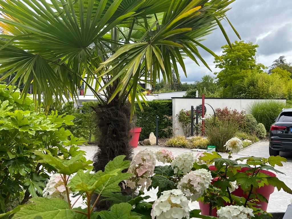 Jardin contemporain dans les Yvelines