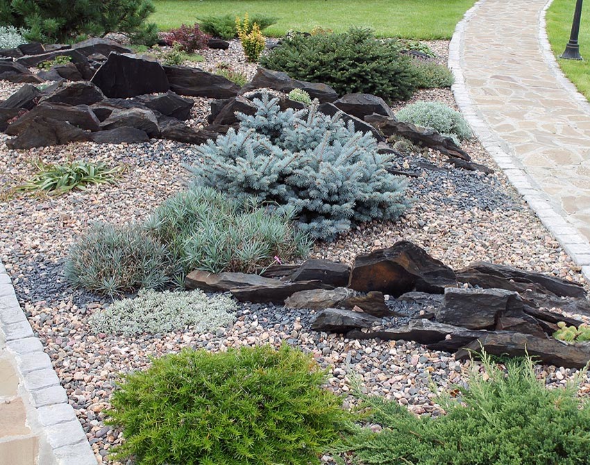 Тематический сад