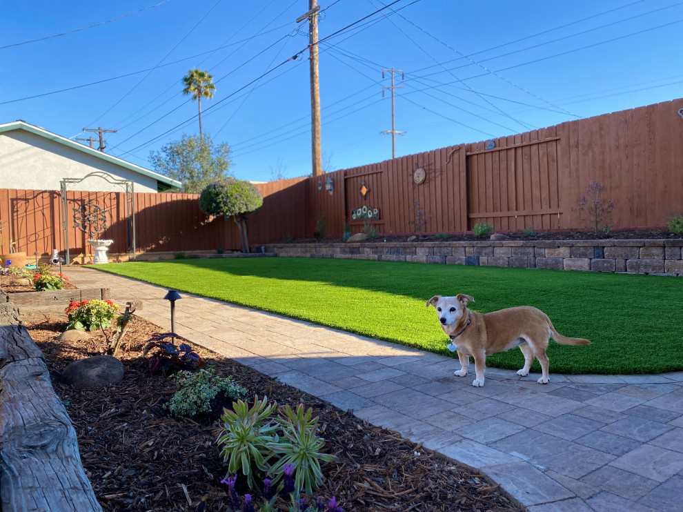 Photo of a mid-sized traditional drought-tolerant and full sun backyard concrete paver and wood fence garden path in San Diego for summer.