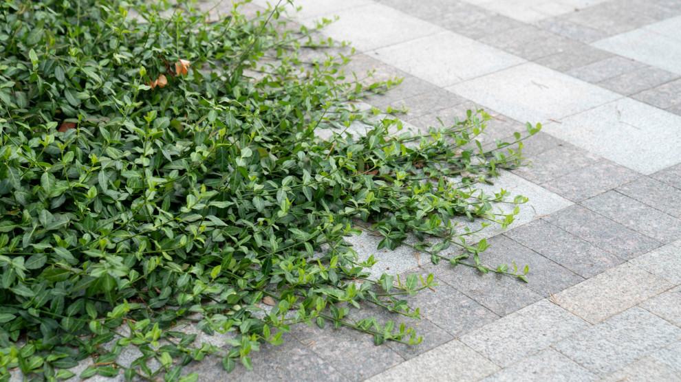 Вилла в стиле Райта. КП "Вымпел" Новорижское шоссе 2016 г.