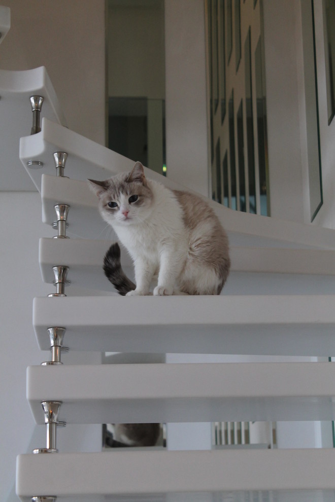 Лестница в малом пространстве в стиле Хай-тек