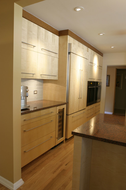 Contemporary Kitchen Designs contemporary-kitchen