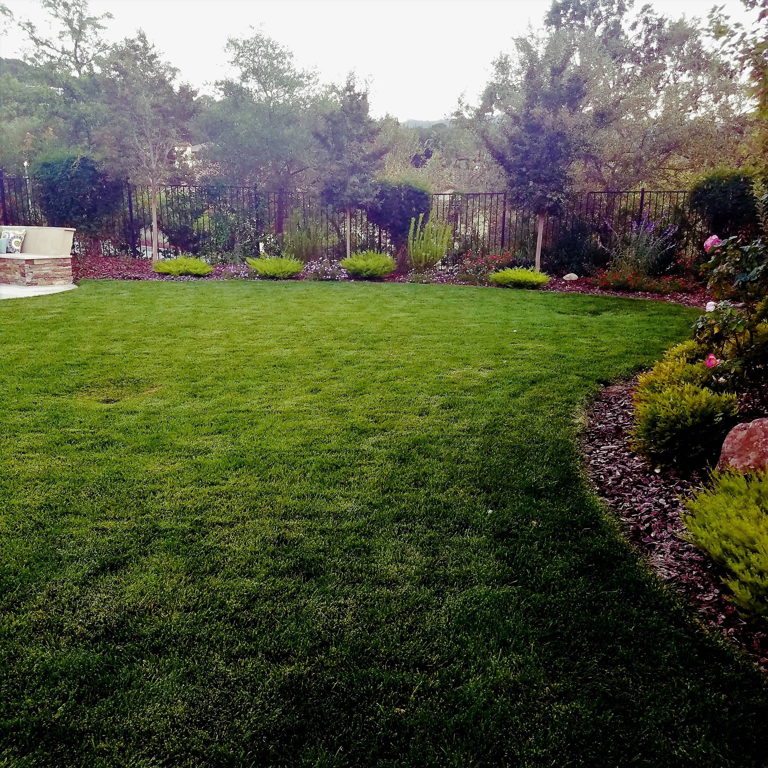 Gilroy CA