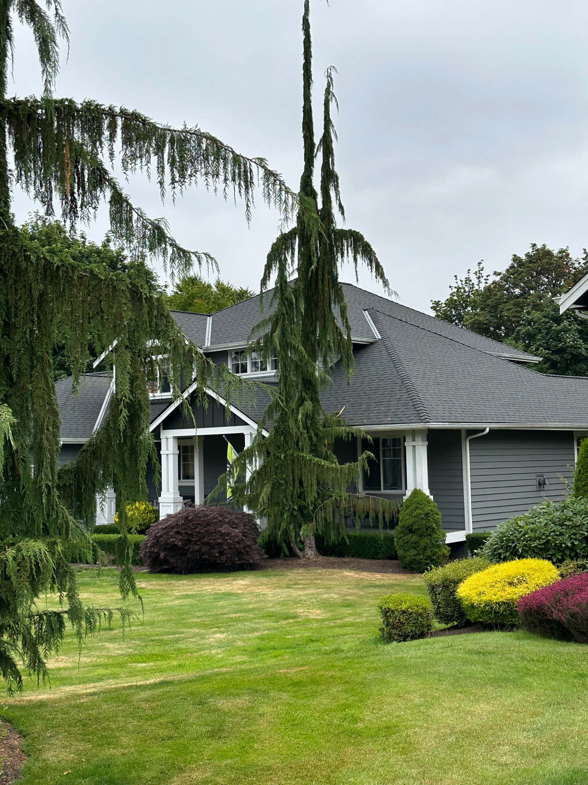 Snohomish Roof - 50+ Squares of roofing