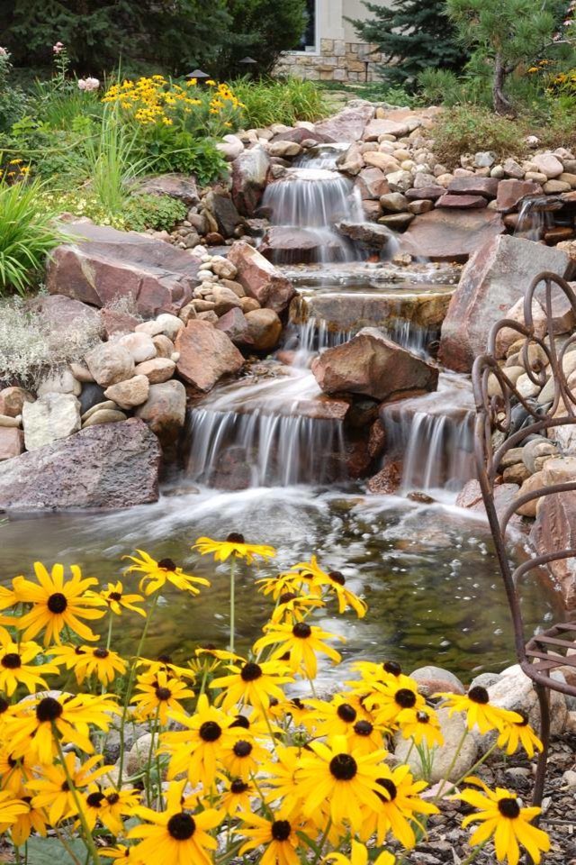 Inspiration for a transitional landscaping in Denver.