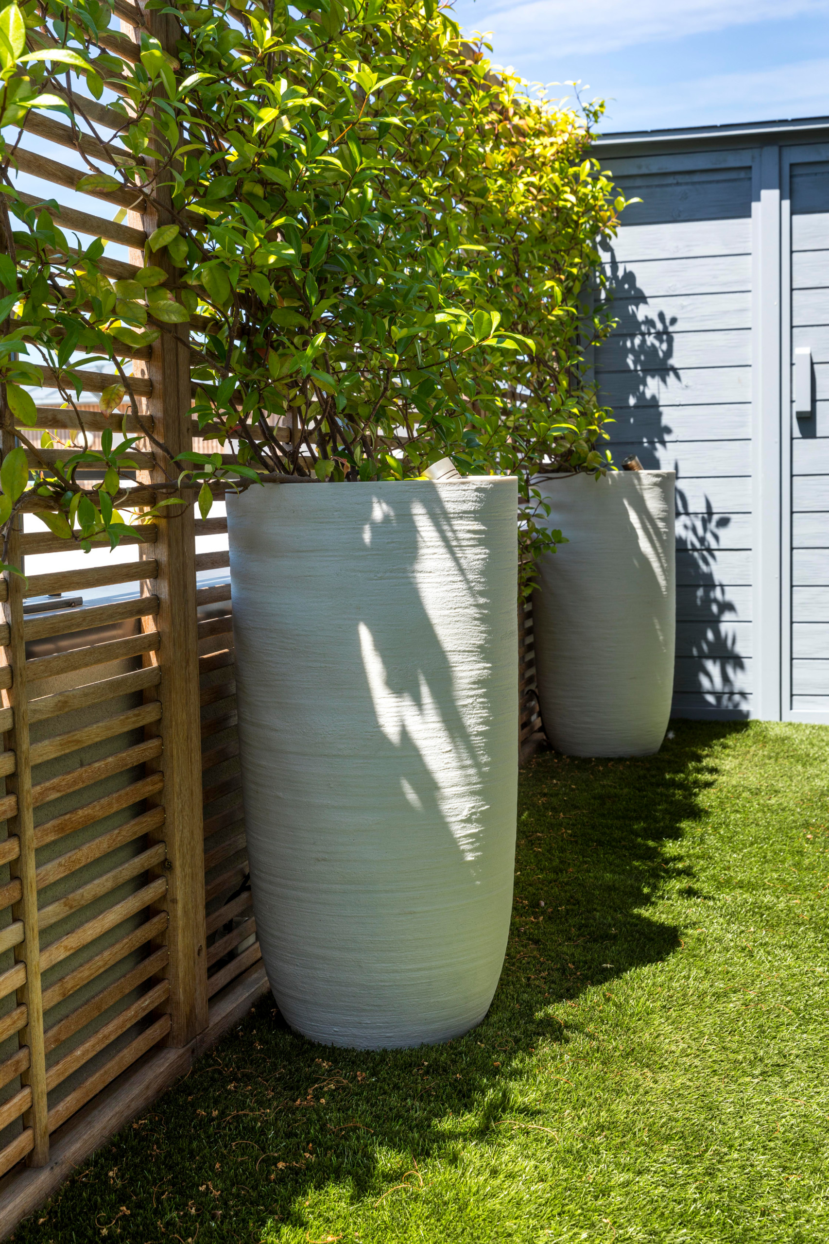 une terrasse foisonnante!