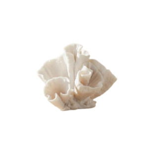Decorative Coral Inspired Sculpture for Home, Bathroom, Room and Living Room Decor - Resin Ornaments for Shelf & Office Display - Coastal Figurine for Coffee Table Decor - 6", Ivory & Tan