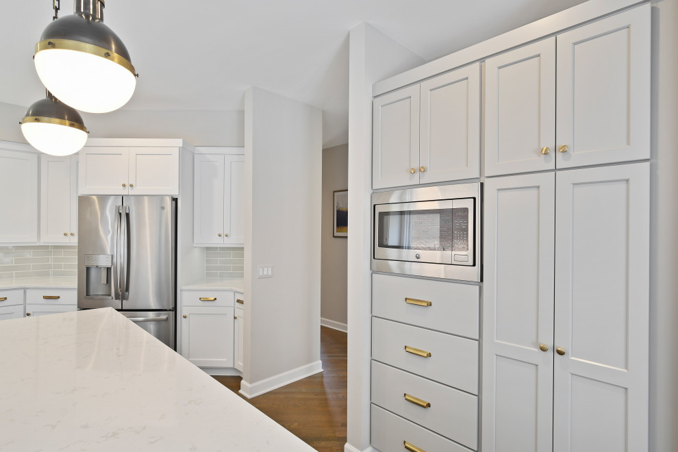 Transitional home design photo in Chicago