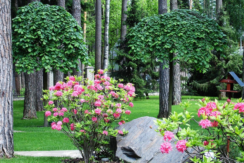 Сад с водоемом в КП " Сосновый Бор"