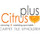 Citrus Plus Carpet Tile and Upholstery Cleaning