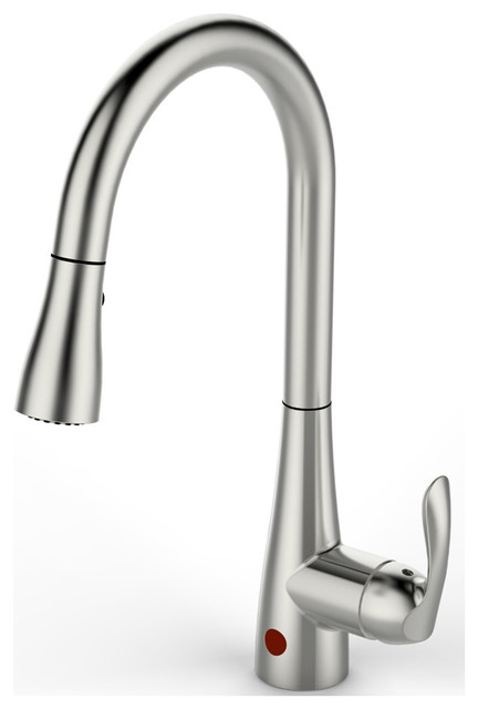 Danze Lisa Pull Down Kitchen Faucet Review Reviews Taraba Home Faucets Co Brushed Nickel The Danze Lisa Pull Down Kitchen Faucet