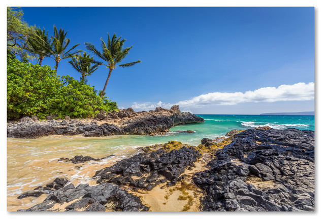 Pierre Leclerc 'Tropical Beach' Canvas Art - Tropical - Prints And ...