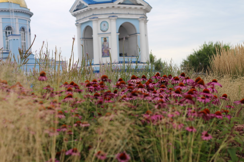 Цветники Советской площади