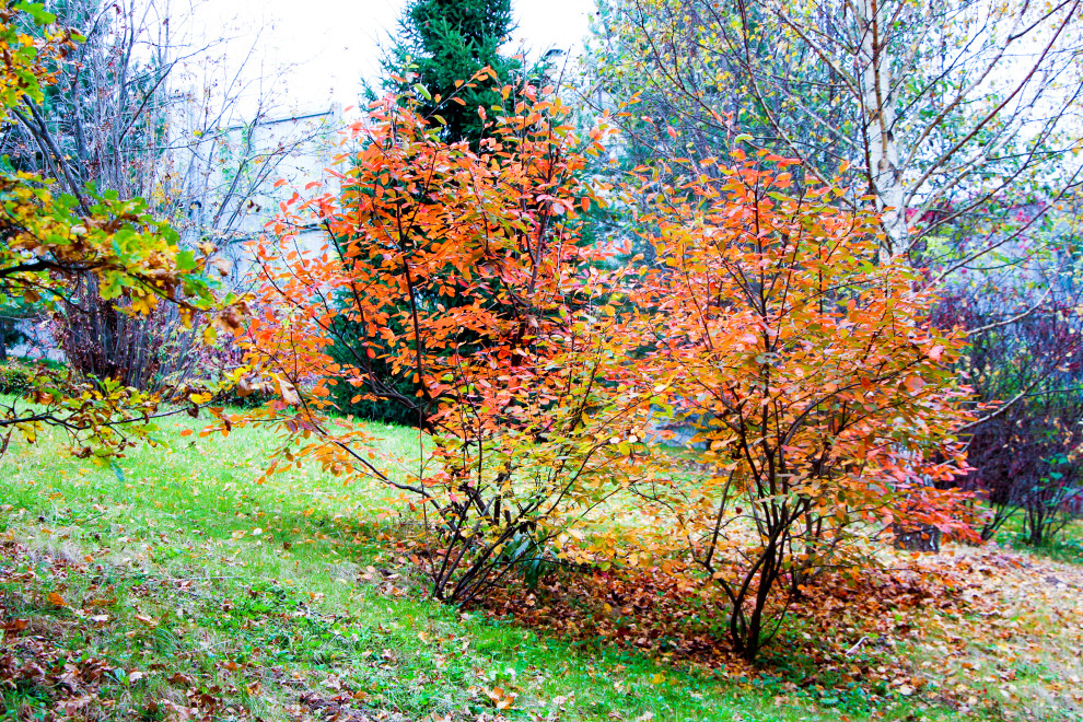 Лобаново, 2012-2021 гг.