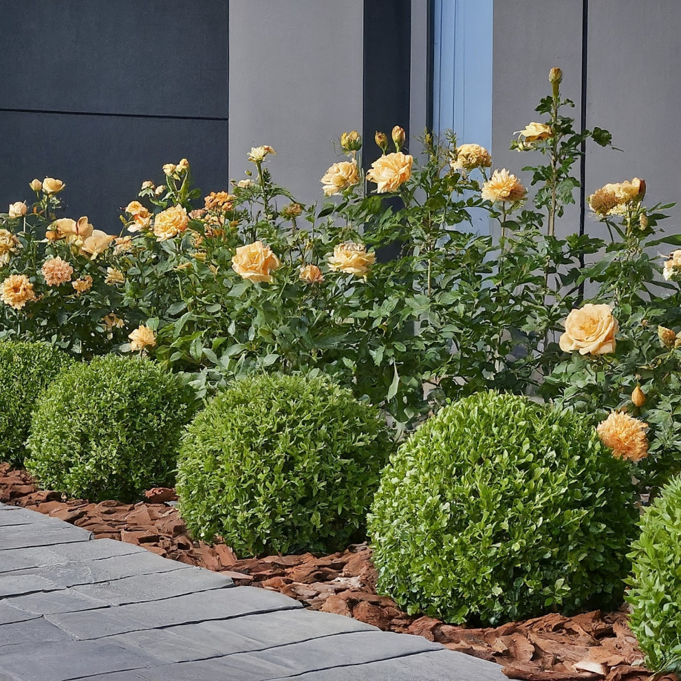 Частный сад 2. Современный