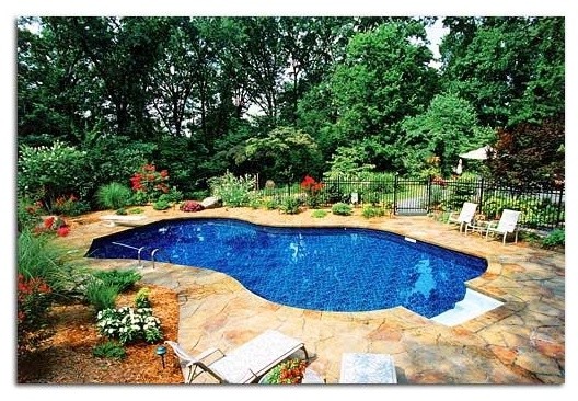 Backyard stone and custom-shaped pool photo