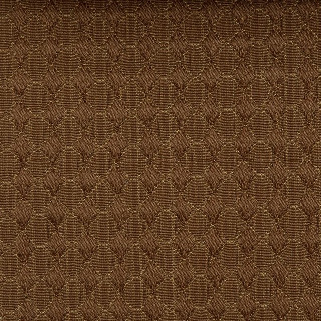 Dots/Circles - Tigers Eyes Upholstery Fabric
