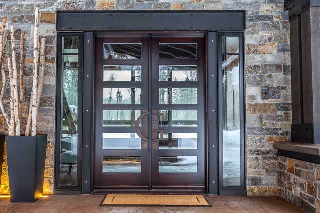 Front Entry modern-eingang