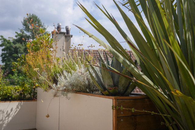 Terrasse m&eacute;diterran&eacute;enne mediterranean-courtyard