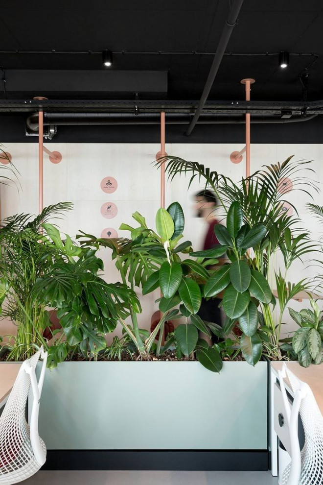 Офис "Зеленый"