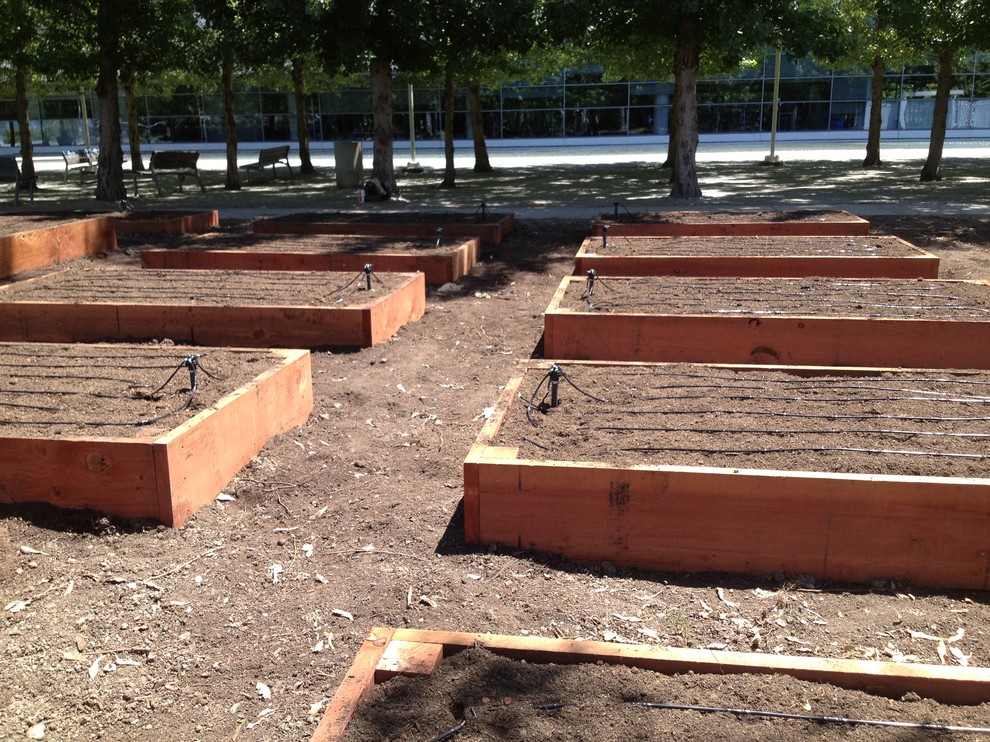 ebay, inc. Corporate Vegetable Garden Installation ...