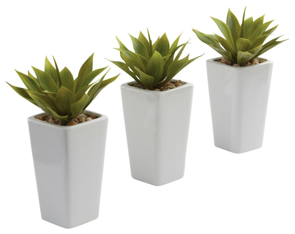 Mini Agave With Planter, Set of 3 White