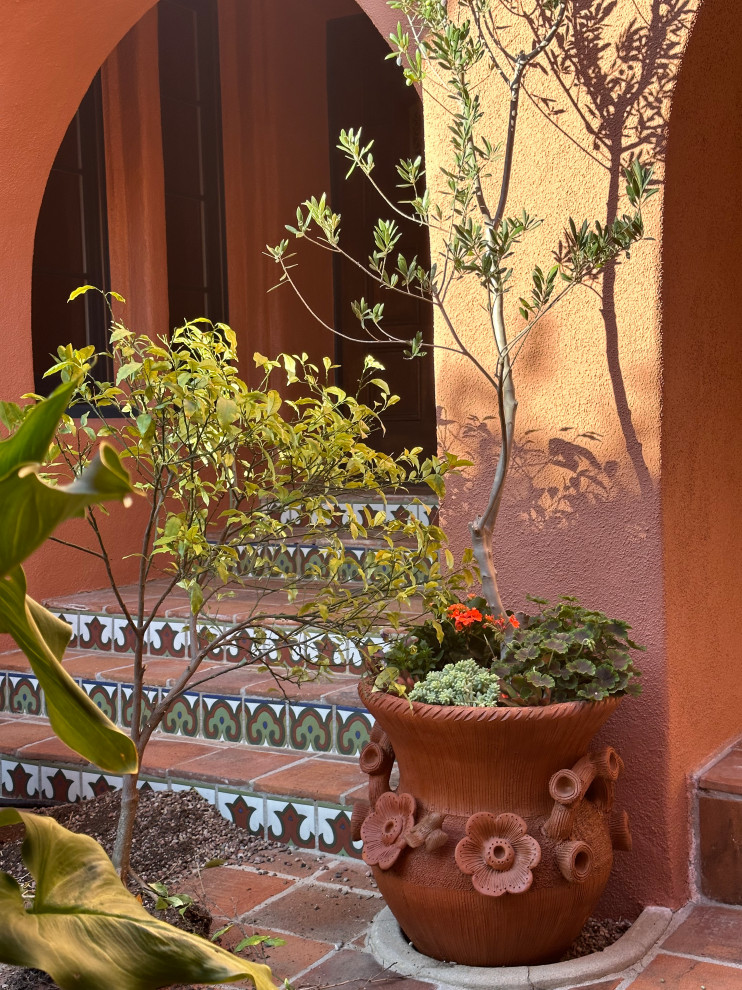 Foto di un patio o portico mediterraneo di medie dimensioni e in cortile con un giardino in vaso, pavimentazioni in mattoni e nessuna copertura