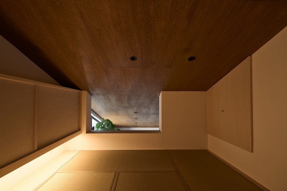 Ispirazione per un soggiorno minimalista di medie dimensioni e stile loft con pareti bianche, pavimento in tatami, nessun camino, soffitto in legno e pareti in perlinato