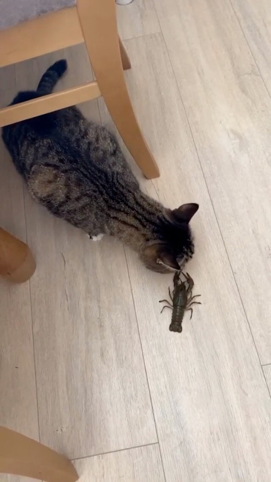 bd52295f8b374495acb887751579a187.mov