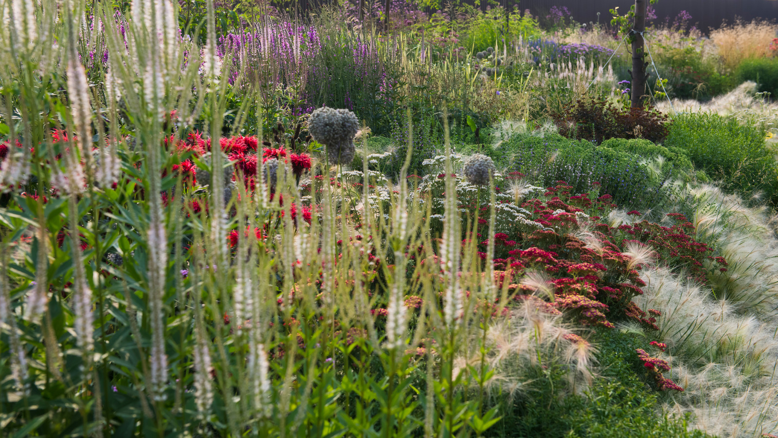 Цветник в  природном стиле  (" New Perennials"  или "Новая волна")