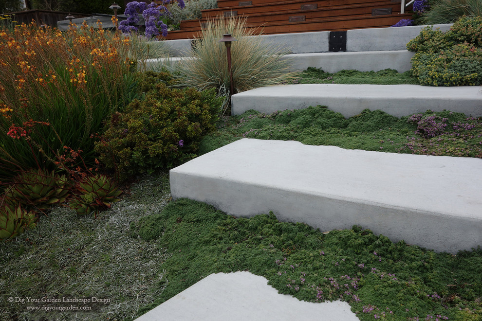 Design ideas for a large contemporary drought-tolerant and full sun hillside concrete paver garden path in San Francisco for spring.