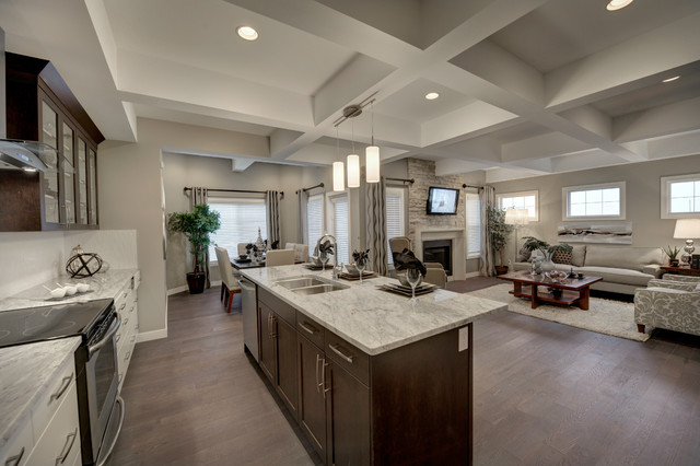 Apparition Model transitional-kitchen