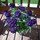 Last commented by Judi DeMoss