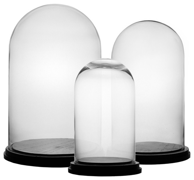 Glass Dome Bell Jar Cloche Terrarium With Wood Bases Set Of 3 Contemporary Terrariums By Cys Excel Inc