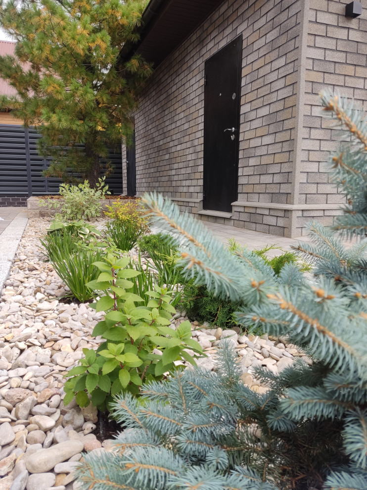 Денис Светлый Яр