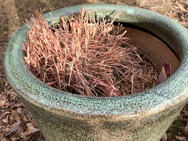 Ten Tips for Leaving a Garden 