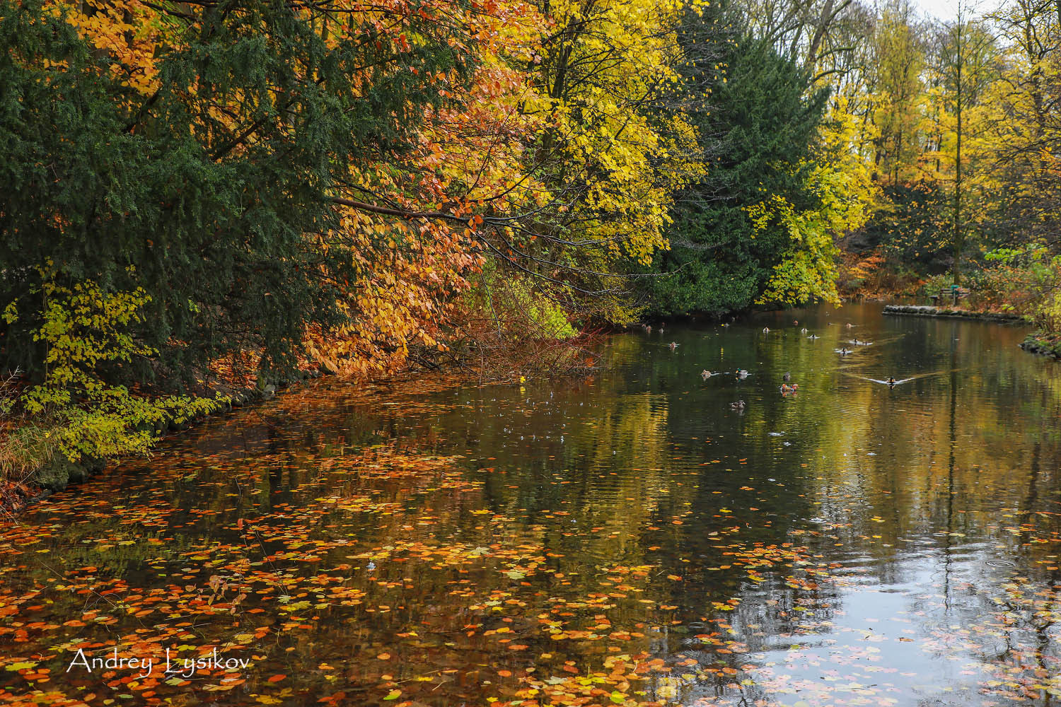 Мюнхен - парк Максимилиансанлаген (Maximiliansanlagen)