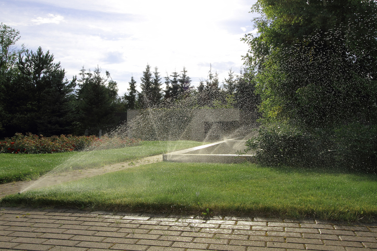 Пос. Лисий нос