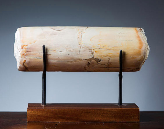 APO окаменелое дерево