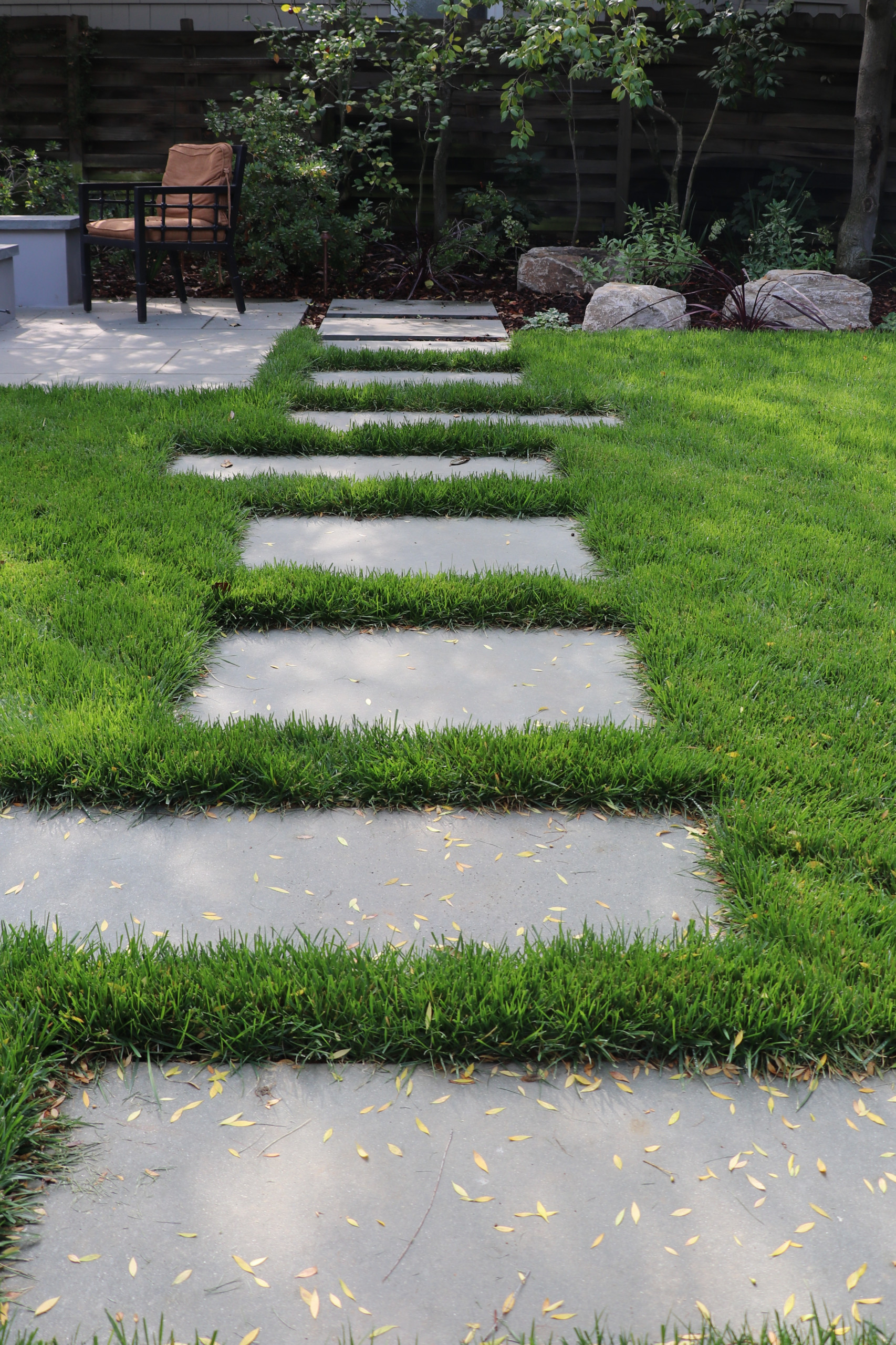 SWEDISH FLAME IN WOODS