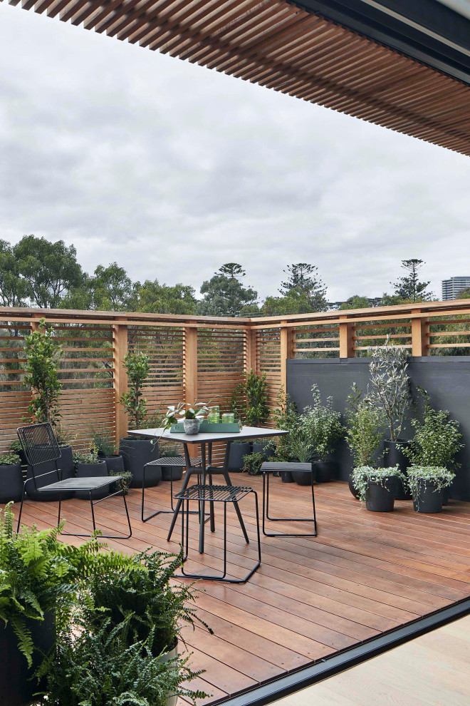 Aménagement d'une terrasse sur le toit contemporaine avec des solutions pour vis-à-vis, aucune couverture et un garde-corps en bois.