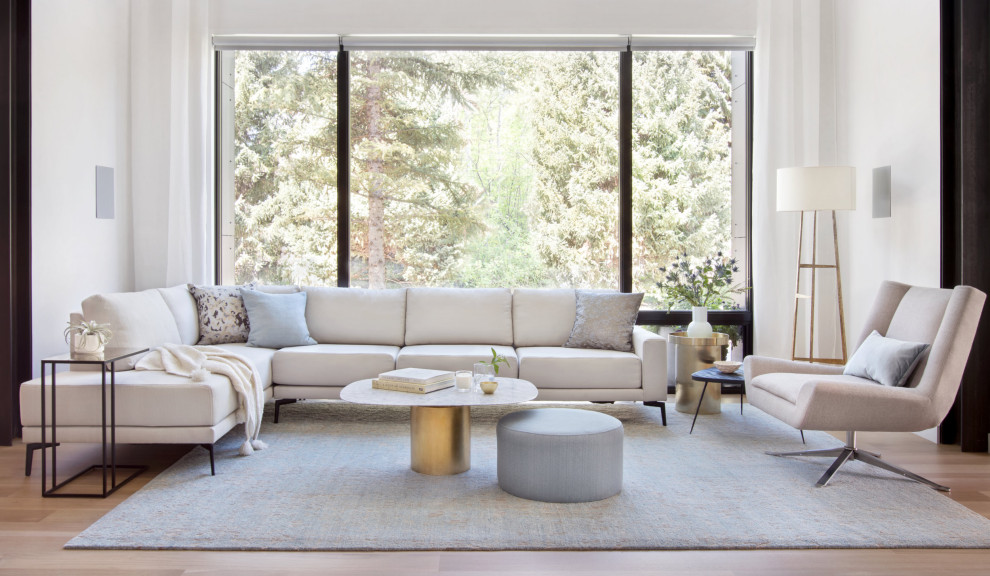 This is an example of a medium sized contemporary formal open plan living room in Denver with white walls, medium hardwood flooring, no fireplace and no tv.