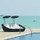 webuser_8625453