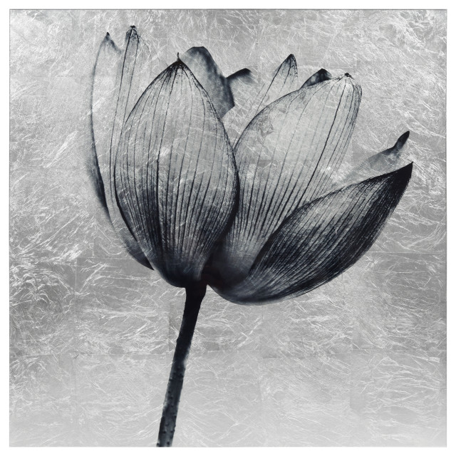 Lotus Reverse Printed On Tempered Glass With Silver Leaf Wall Art Asian Prints And Posters By Empire Direct Houzz - Tempered Glass Wall Art Black And White