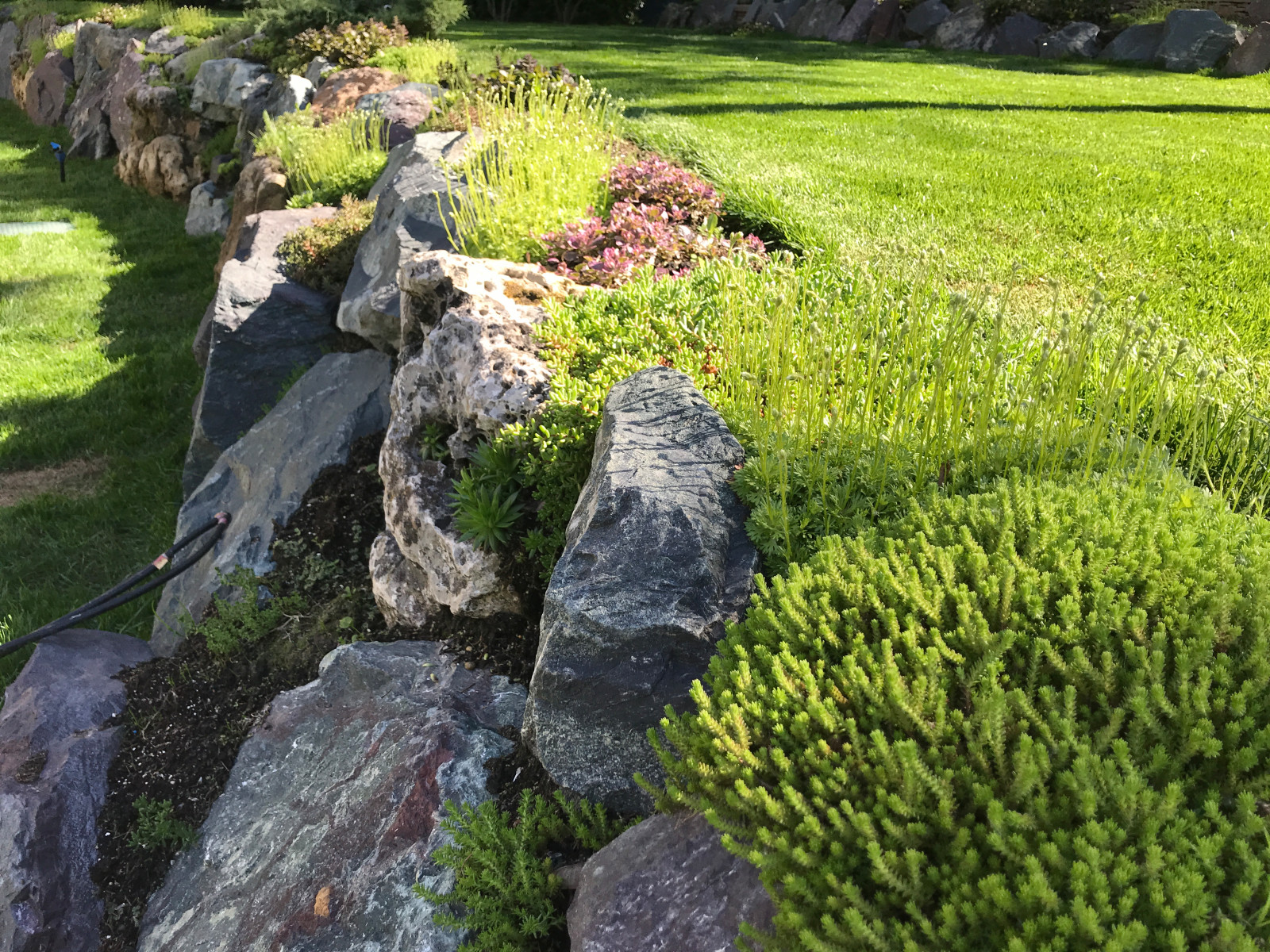 Современный ландшафтный дизайн.